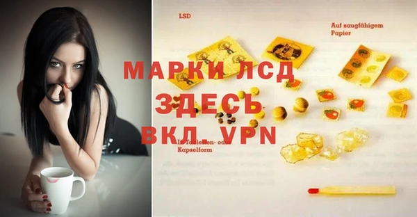 молекула духа Арсеньев