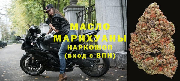 молекула духа Арсеньев