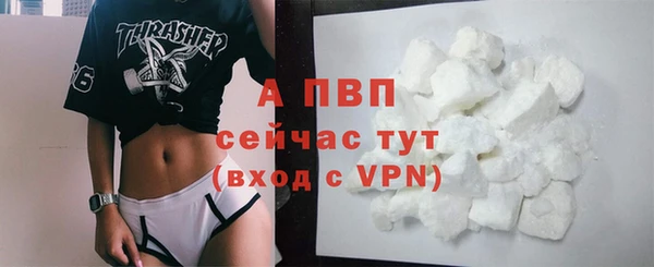 молекула духа Арсеньев
