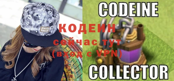 молекула духа Арсеньев