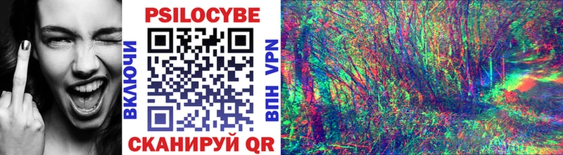 Псилоцибиновые грибы мицелий  Ахтубинск 